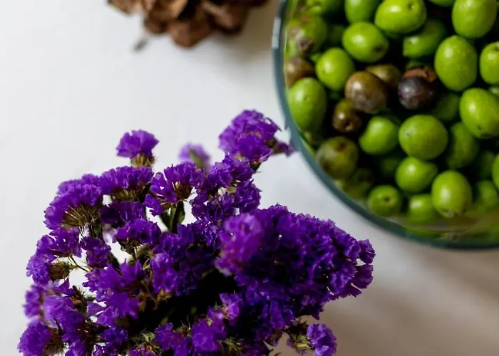 Bed and breakfast Montebello Camaiore