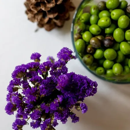 Bed & Breakfast Montebello Camaiore